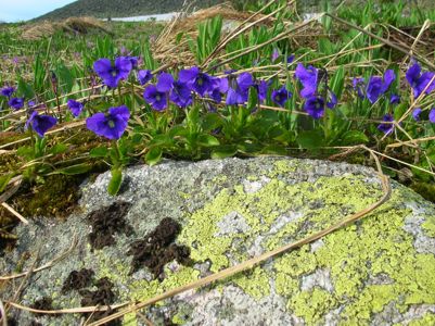 Увеличить фото