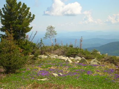 Увеличить фото