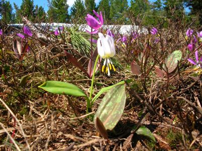 Увеличить фото